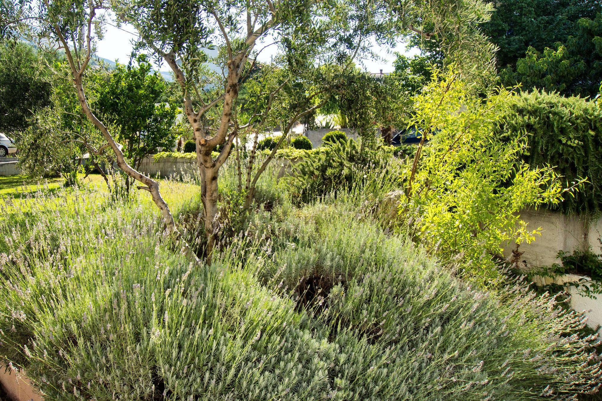 Villa Lavanda Podstrana Bagian luar foto